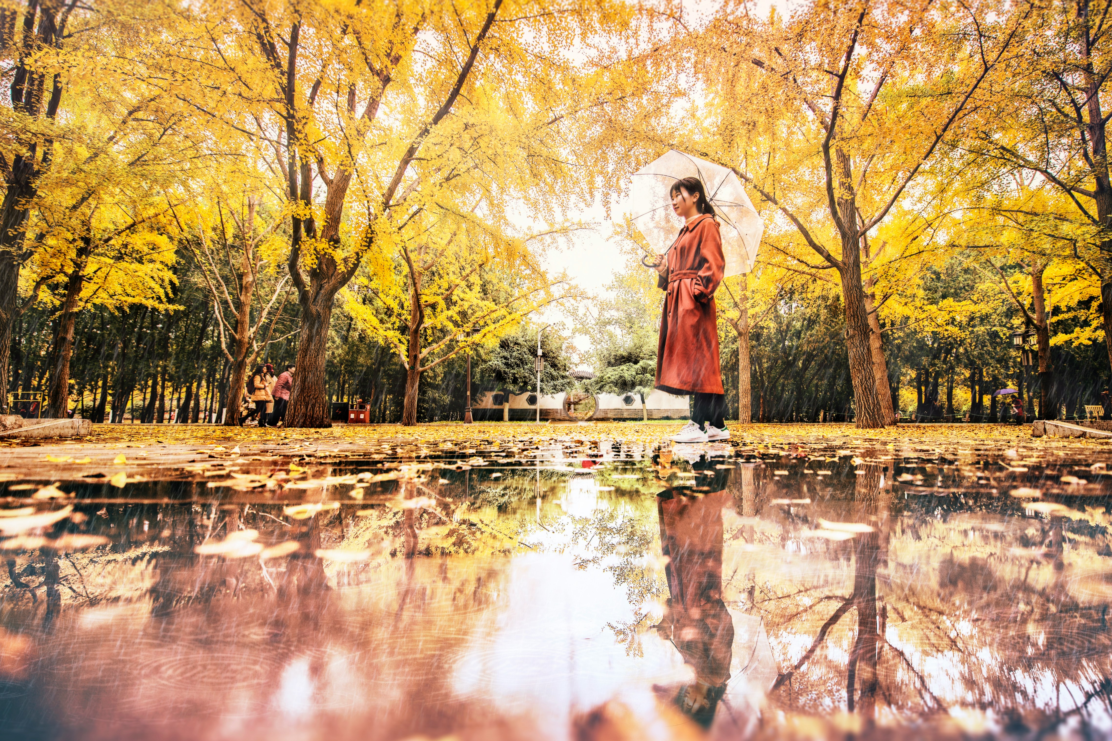 woman wearing red long-sleeved dress standing near wet pathway surrounded with green trees